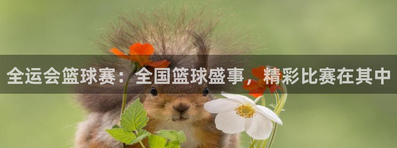 全运会篮球赛：全国篮球盛事，精彩比赛在其中