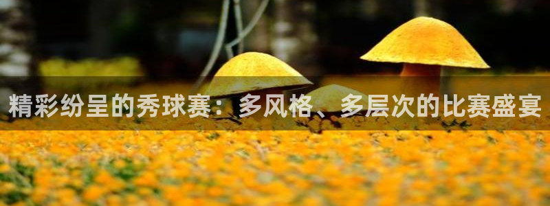  精彩纷呈的秀球赛：多风格、多层次的比赛盛宴