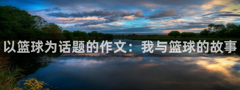以篮球为话题的作文：我与篮球的故事