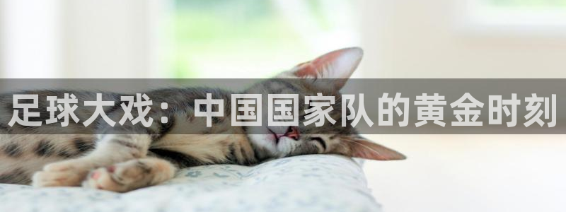 足球大戏：中国国家队的黄金时刻