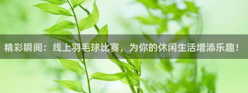 精彩瞬间：线上羽毛球比赛，为你的休闲