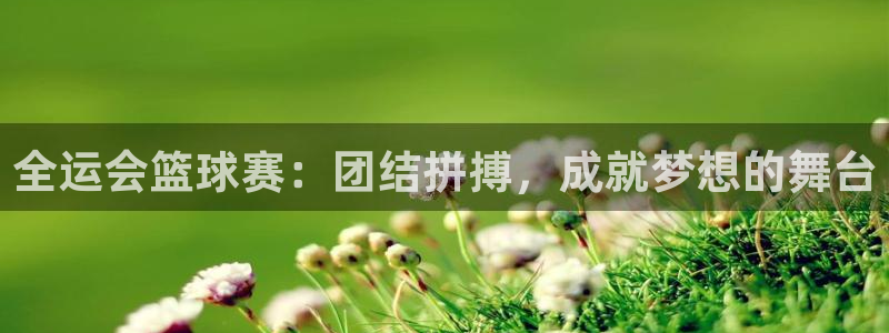 全运会篮球赛：团结拼搏，成就梦想的舞