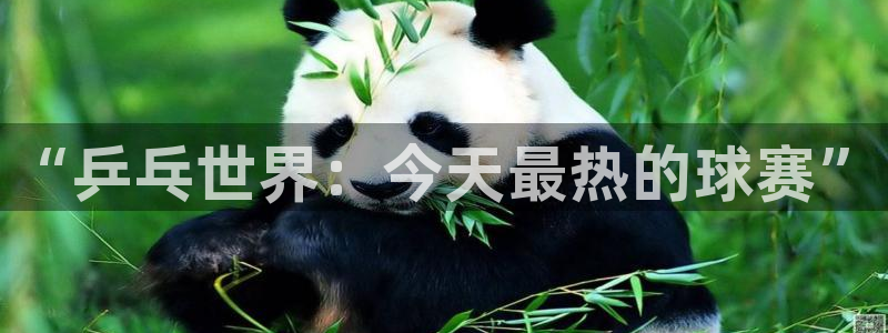 易游app下载方法：“乒乓世界：今天