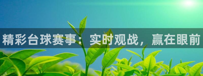 易游商城官网下载：精彩台球赛事：实时