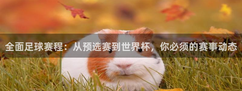 易游体育苏州：全面足球赛程：从预选赛