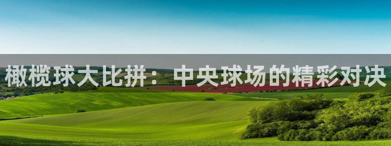 易游商城百度百科：橄榄球大比拼：中央球场的精彩对决