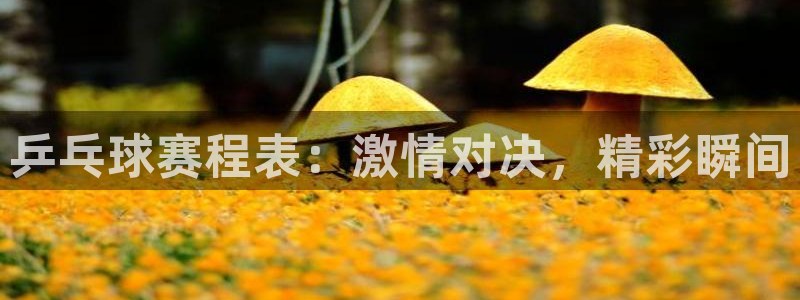 易游平台登录入口：乒乓球赛程表：激情对决，精彩瞬间