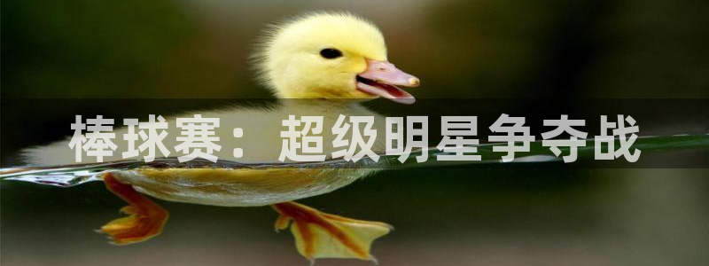 易游官网是多少：棒球赛：超级明星争夺战