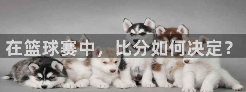易游体育app下载安装最新版本：在篮