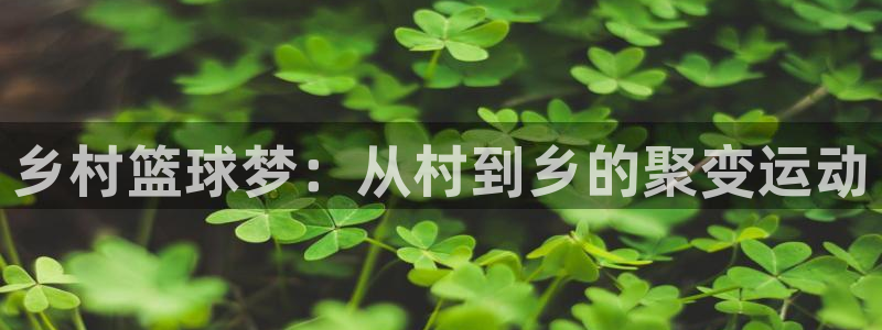 易游通苹果系统：乡村篮球梦：从村到乡