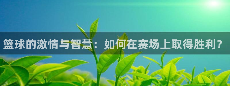 易游体育官方入口入口下载手机版：篮球的激情与智慧：如何在赛场