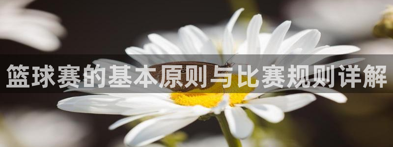 下载易游商城：篮球赛的基本原则与比赛