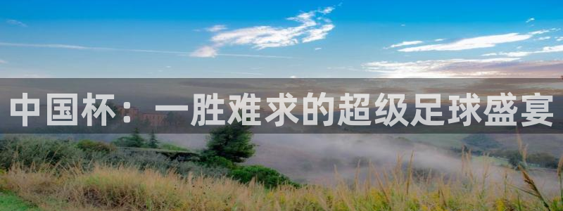 yy易游体育平台能提现吗是真的吗：中