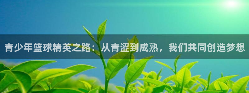 易游科技游戏平台：青少年篮球精英之路：从青涩到成熟，我们共同