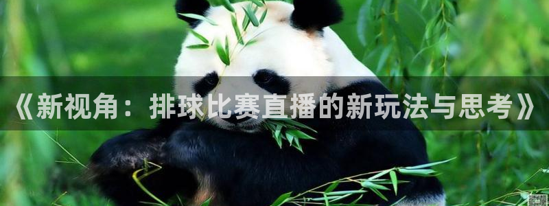  易游软件：《新视角：排球比赛直播的新玩法与思考》
